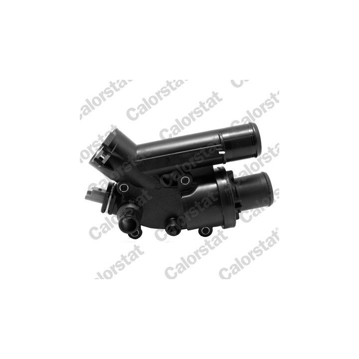 Termostatas, aušinimo skystis CALORSTAT by Vernet TH7146.83J