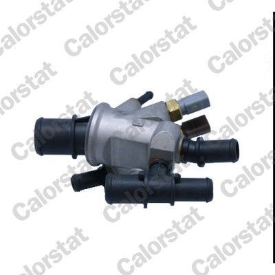 Termostatas, aušinimo skystis CALORSTAT by Vernet TH7148.88J