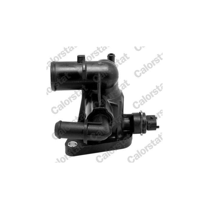 Termostatas, aušinimo skystis CALORSTAT by Vernet TH7172.88J