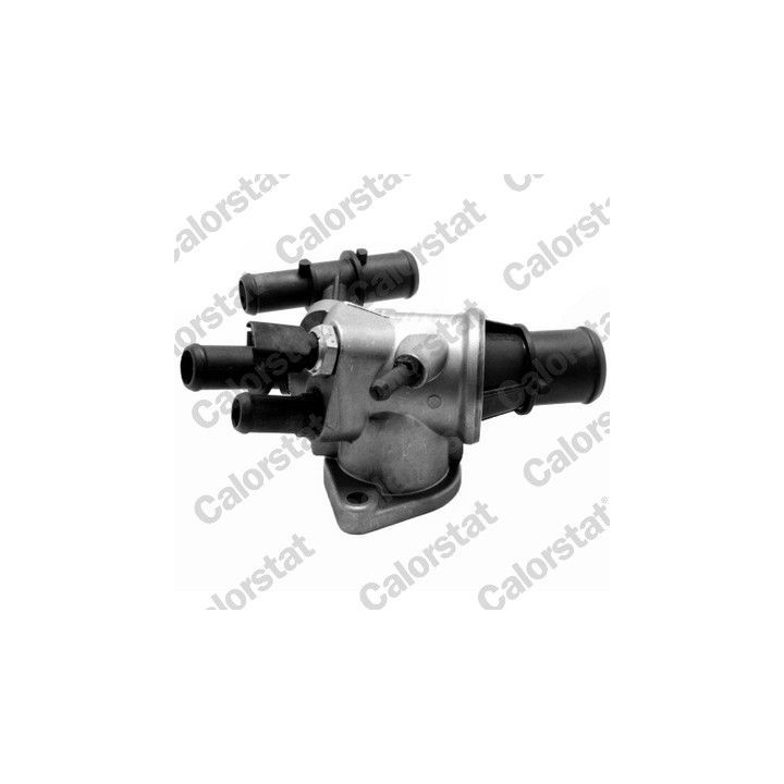 Termostatas, aušinimo skystis CALORSTAT by Vernet TH7177.88J