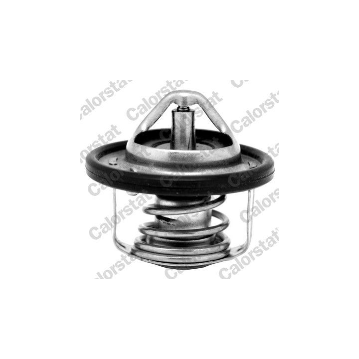 Termostatas, aušinimo skystis CALORSTAT by Vernet TH7184.88J