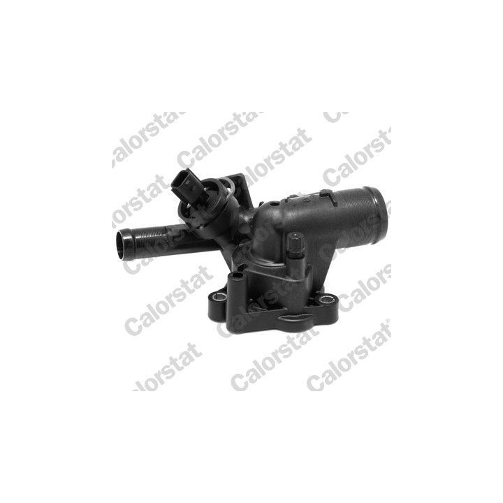 Termostatas, aušinimo skystis CALORSTAT by Vernet TH7190.81J