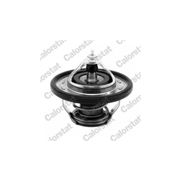 Termostatas, aušinimo skystis CALORSTAT by Vernet TH7239.90J