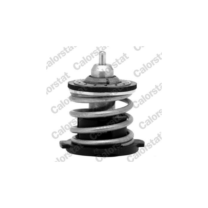 Termostatas, aušinimo skystis CALORSTAT by Vernet TH7274.87