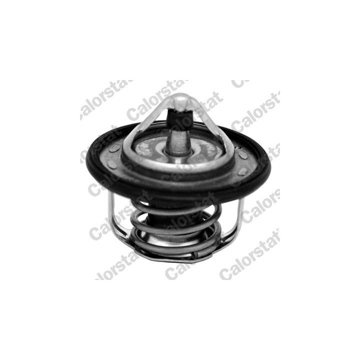 Termostatas, aušinimo skystis CALORSTAT by Vernet TH7300.95J