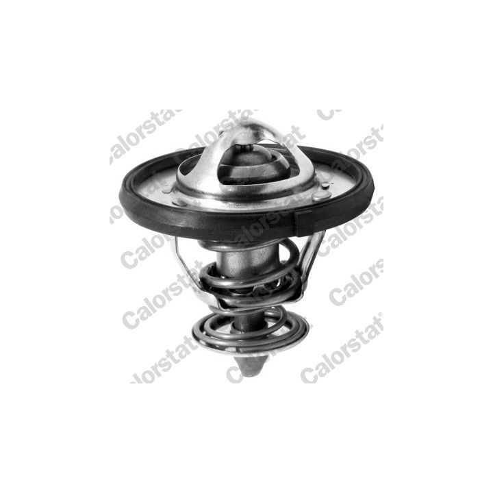 Termostatas, aušinimo skystis CALORSTAT by Vernet TH7310.77J