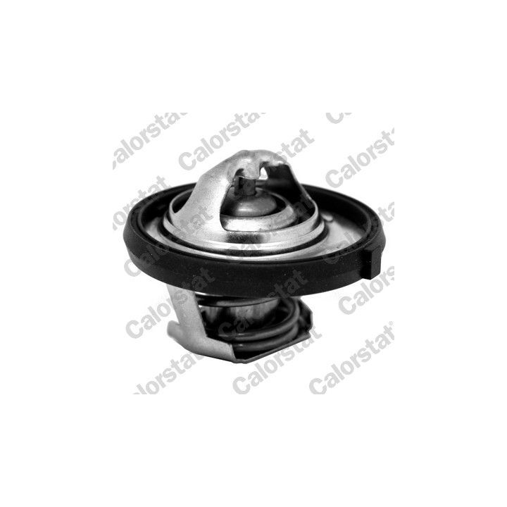 Termostatas, aušinimo skystis CALORSTAT by Vernet TH7311.95J