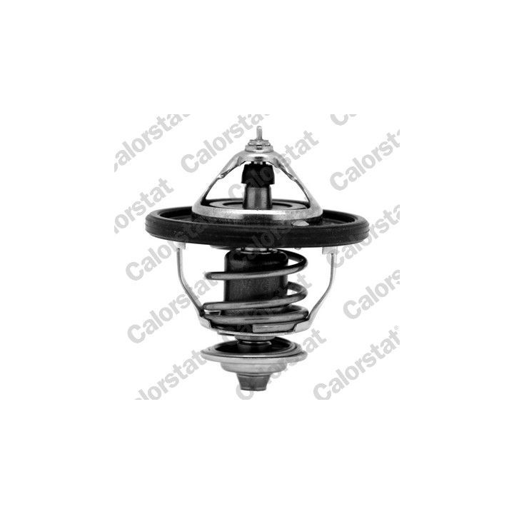 Termostatas, aušinimo skystis CALORSTAT by Vernet TH7354.88J