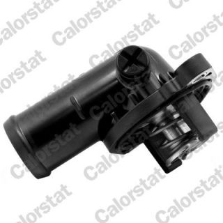 Termostatas, aušinimo skystis CALORSTAT by Vernet TH7358.95J