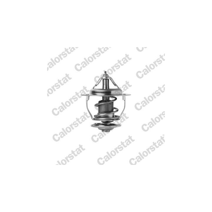 Termostatas, aušinimo skystis CALORSTAT by Vernet TH7391.82J