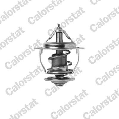 Termostatas, aušinimo skystis CALORSTAT by Vernet TH7391.82J