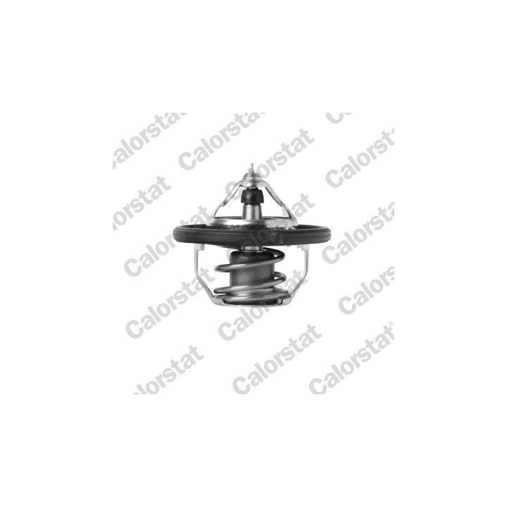 Termostatas, aušinimo skystis CALORSTAT by Vernet TH7392.88J