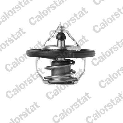 Termostatas, aušinimo skystis CALORSTAT by Vernet TH7392.88J