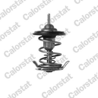 Termostatas, aušinimo skystis CALORSTAT by Vernet TH7397.82