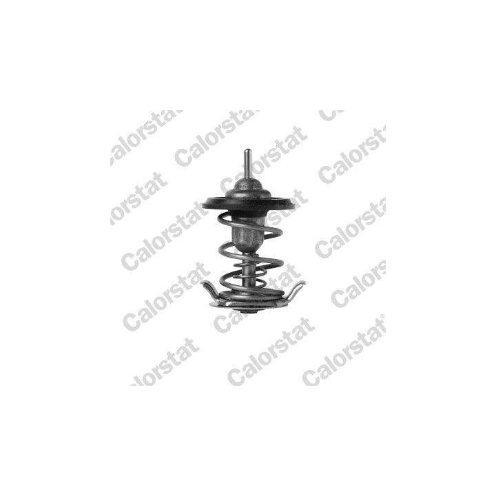 Termostatas, aušinimo skystis CALORSTAT by Vernet TH7397.82