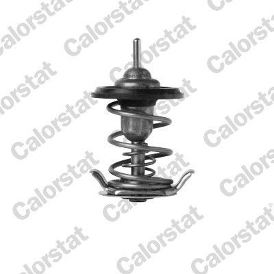 Termostatas, aušinimo skystis CALORSTAT by Vernet TH7397.82