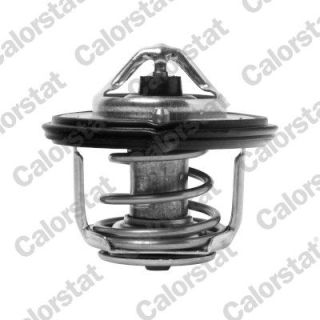 Termostatas, aušinimo skystis CALORSTAT by Vernet TH7407.82J
