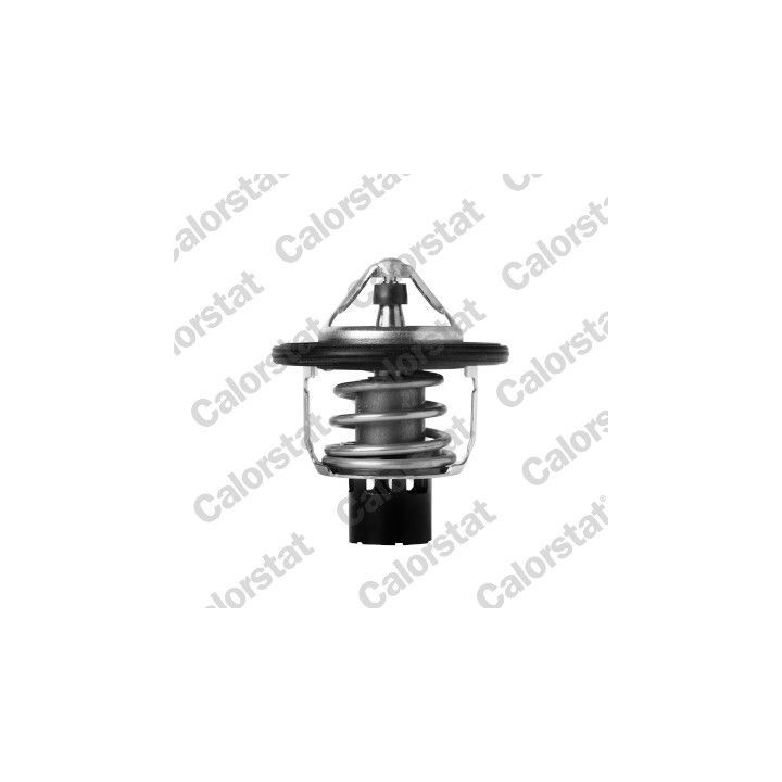 Termostatas, aušinimo skystis CALORSTAT by Vernet TH7418.88J