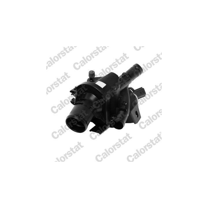 Termostatas, aušinimo skystis CALORSTAT by Vernet TH7426.83J