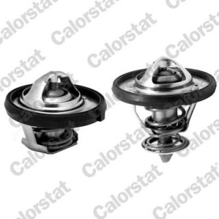 Termostatas, aušinimo skystis CALORSTAT by Vernet THK7310.77J
