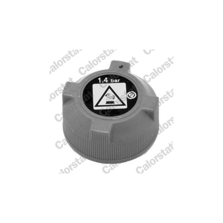 Išsiplėtimo bakelis, aušinimo skystis CALORSTAT by Vernet ET0032C1