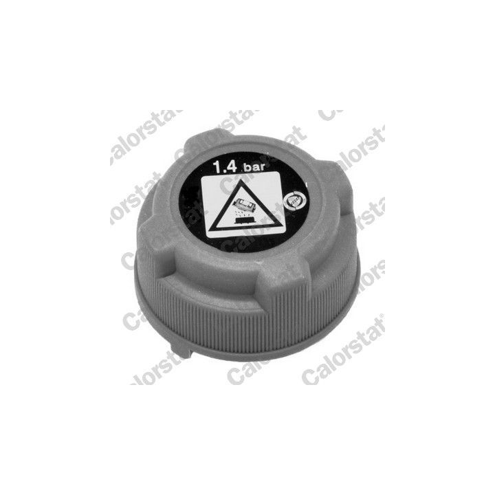 Išsiplėtimo bakelis, aušinimo skystis CALORSTAT by Vernet ET0033C2