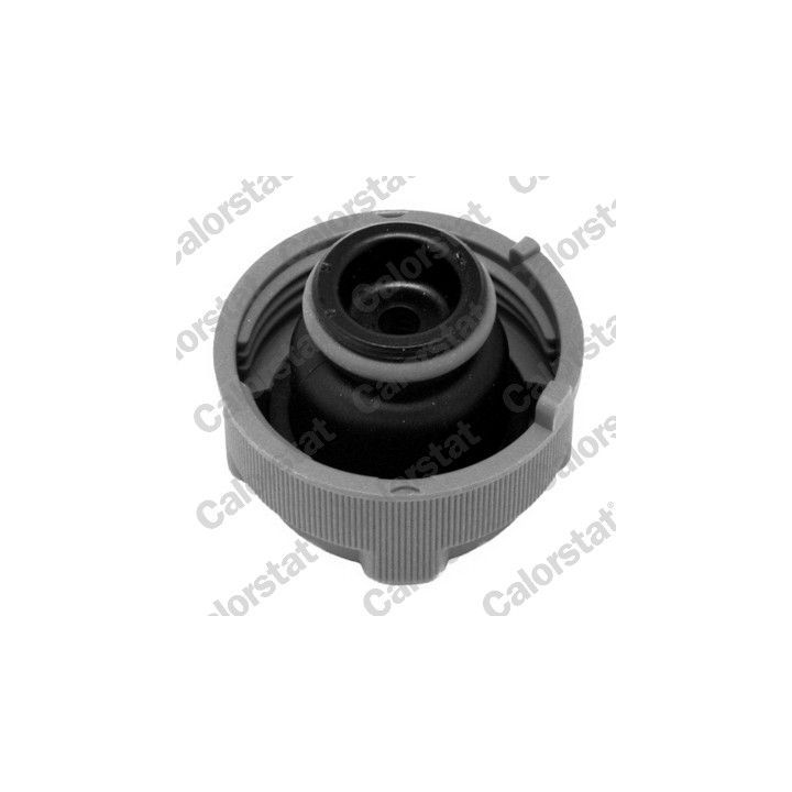 Išsiplėtimo bakelis, aušinimo skystis CALORSTAT by Vernet ET0033C2