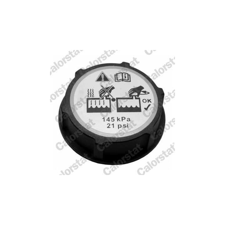 Išsiplėtimo bakelis, aušinimo skystis CALORSTAT by Vernet ET0129C1