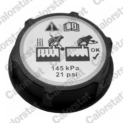 Išsiplėtimo bakelis, aušinimo skystis CALORSTAT by Vernet ET0129C1