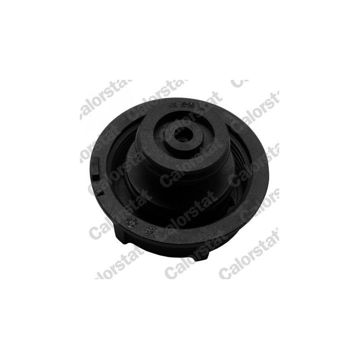 Išsiplėtimo bakelis, aušinimo skystis CALORSTAT by Vernet ET0129C1