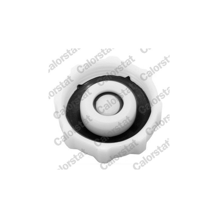 Išsiplėtimo bakelis, aušinimo skystis CALORSTAT by Vernet ET0132C2