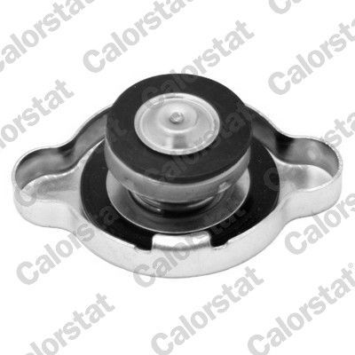 Radiatoriaus dangtelis CALORSTAT by Vernet RC0007