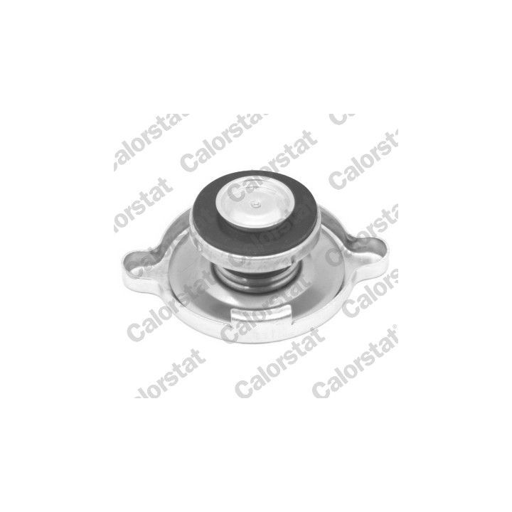 Radiatoriaus dangtelis CALORSTAT by Vernet RC0049