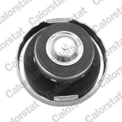 Radiatoriaus dangtelis CALORSTAT by Vernet RC0192