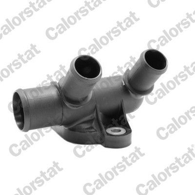 Aušinimo skysčio jungė CALORSTAT by Vernet WF0055