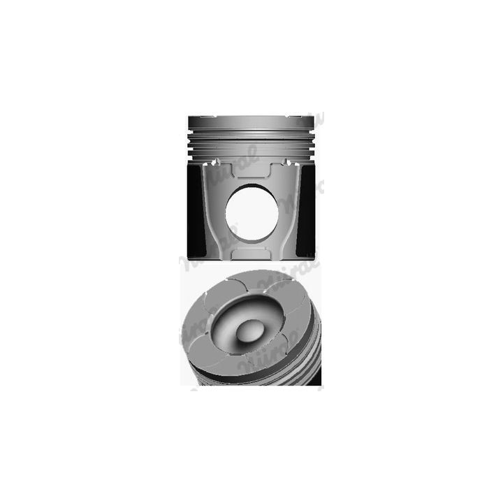 Stūmoklis NÜRAL 87-101100-00