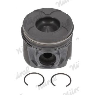 Stūmoklis NÜRAL 87-102900-10