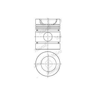 Stūmoklis NÜRAL 87-107200-10