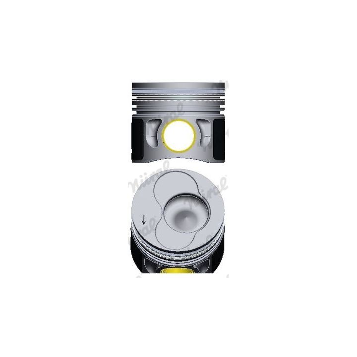 Stūmoklis NÜRAL 87-114900-46