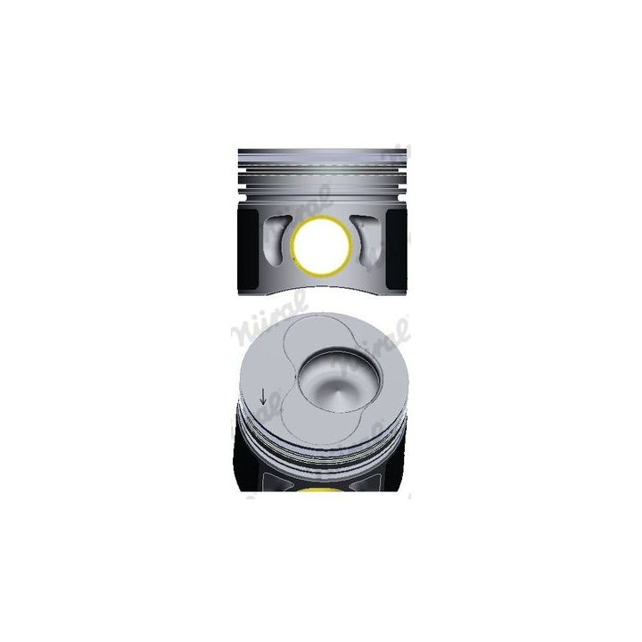 Stūmoklis NÜRAL 87-114900-66