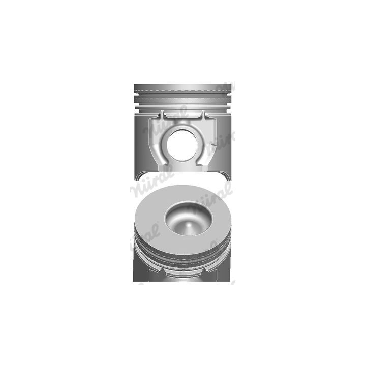 Stūmoklis NÜRAL 87-123700-00