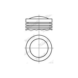 Stūmoklis NÜRAL 87-126200-00