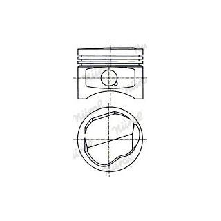 Stūmoklis NÜRAL 87-133900-10