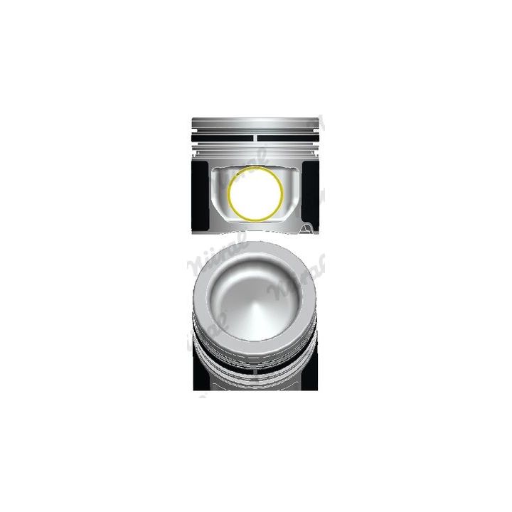 Stūmoklis NÜRAL 87-136000-10