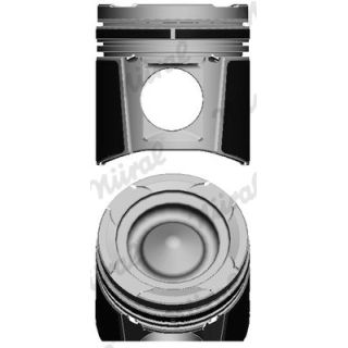 Stūmoklis NÜRAL 87-143800-60