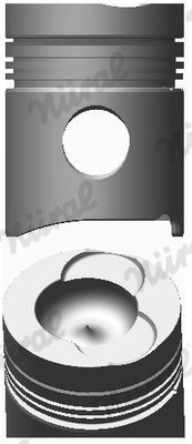 Stūmoklis NÜRAL 87-174100-00