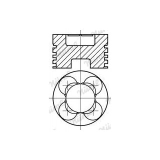 Stūmoklis NÜRAL 87-176900-10