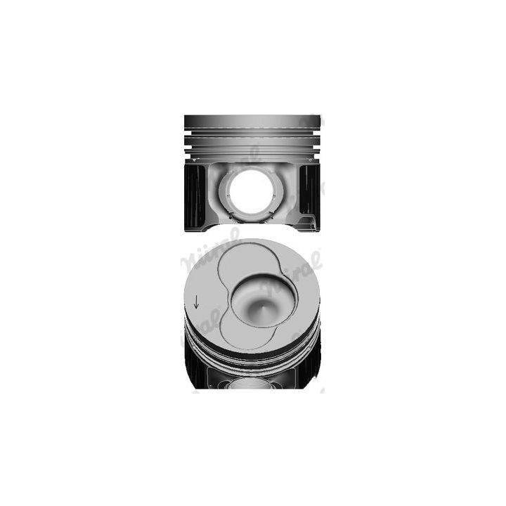 Stūmoklis NÜRAL 87-421007-10