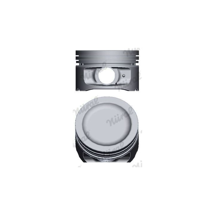 Stūmoklis NÜRAL 87-427100-00