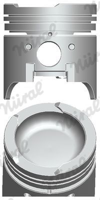 Stūmoklis NÜRAL 87-780617-10